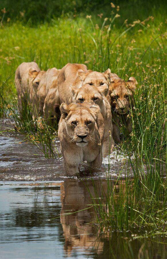 Serengeti National Park